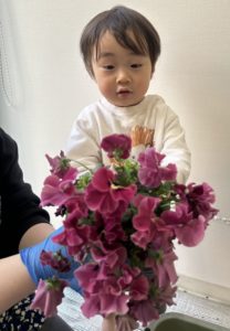 綺麗なお花をいただきました。